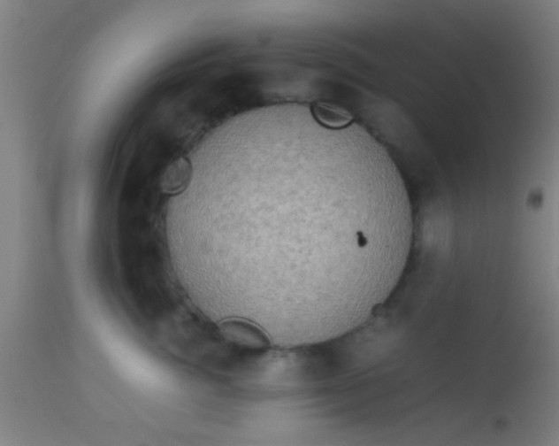 X0000114170764200910221651