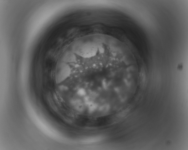 X0000114170765200910221651