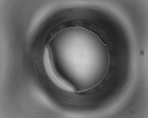 X0000114170766200910221651