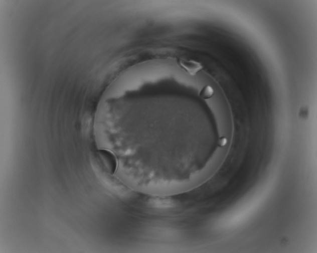 X0000114170767200910221651