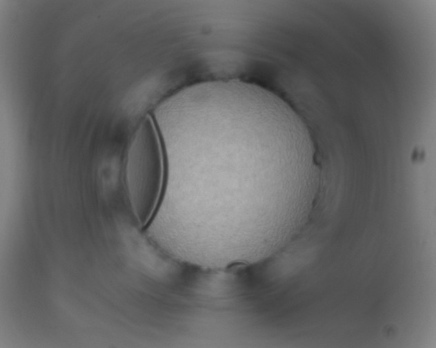 X0000114170768200910221651