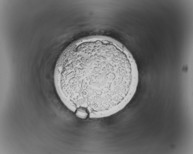 X0000114170769200910221650