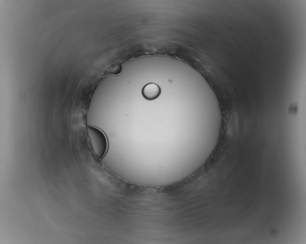 X0000114170770200910221650