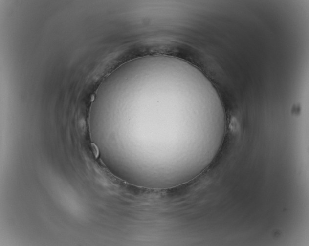 X0000114170771200910221650