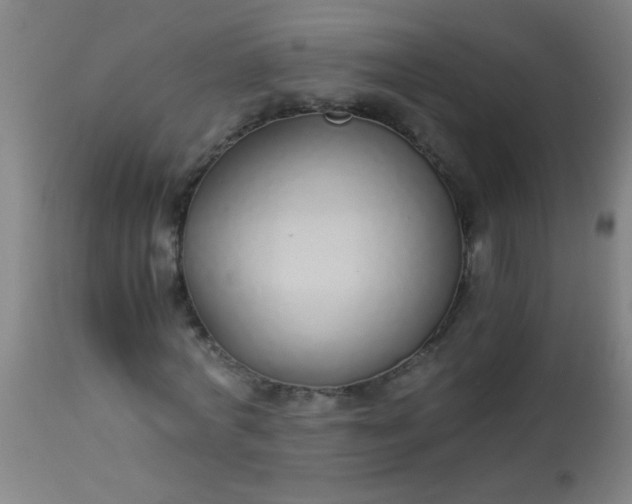 X0000114170772200910221650