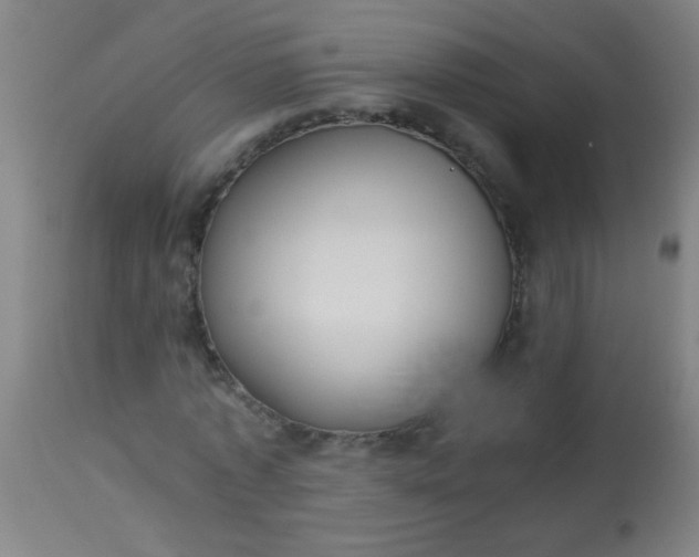 X0000114170773200910221650