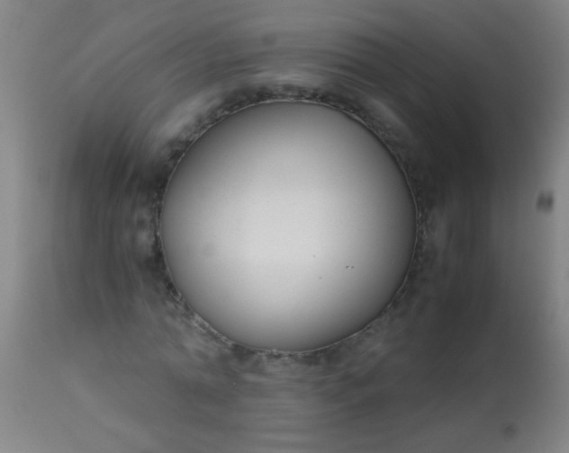 X0000114170774200910221650