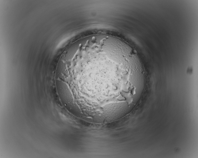 X0000114170775200910221649