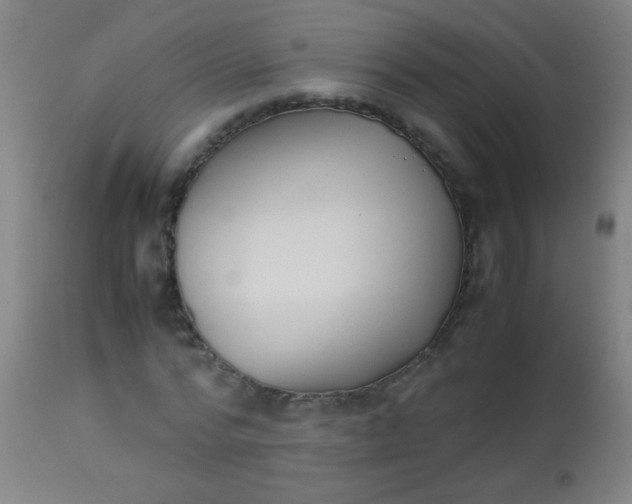 X0000114170776200910221649