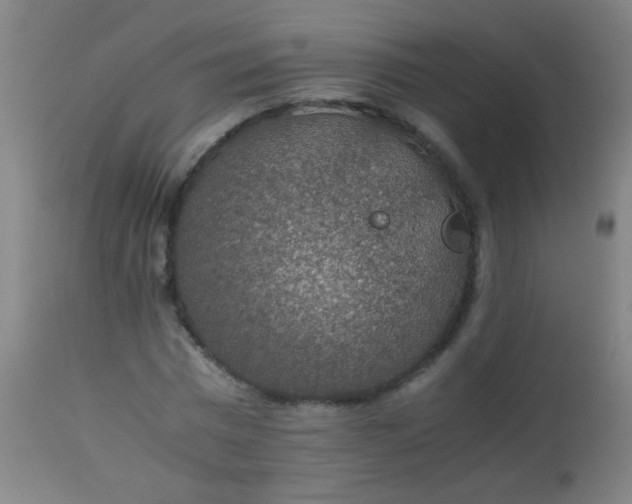 X0000114170777200910221649