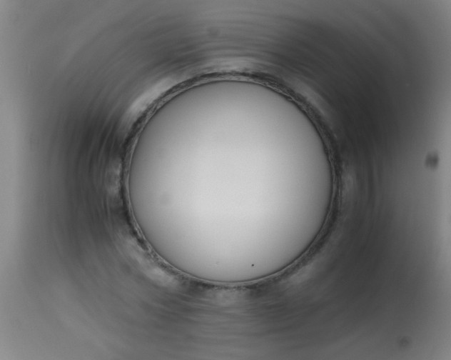 X0000114170778200910221649