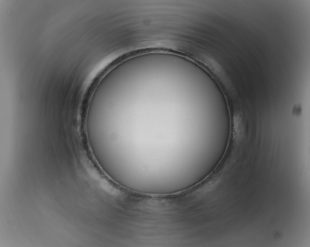 X0000114170780200910221649