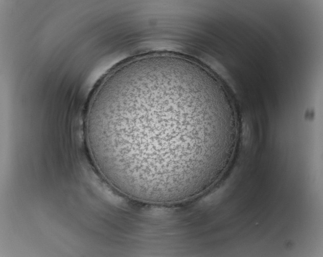 X0000114170782200910221649