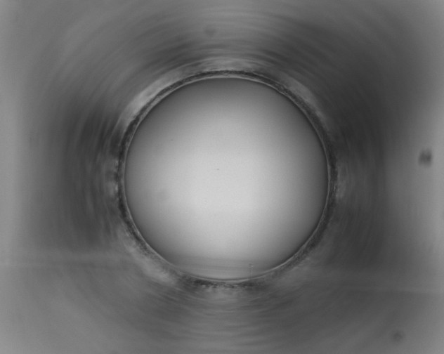 X0000114170786200910221649