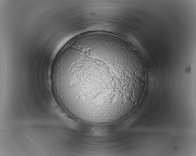 X0000114170788200910221649