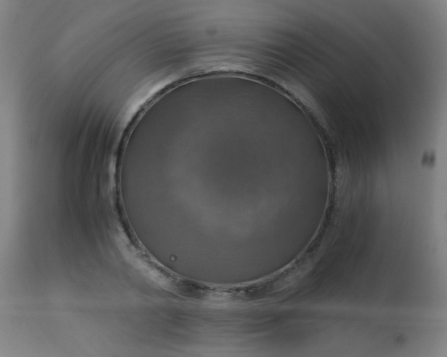 X0000114170790200910221649