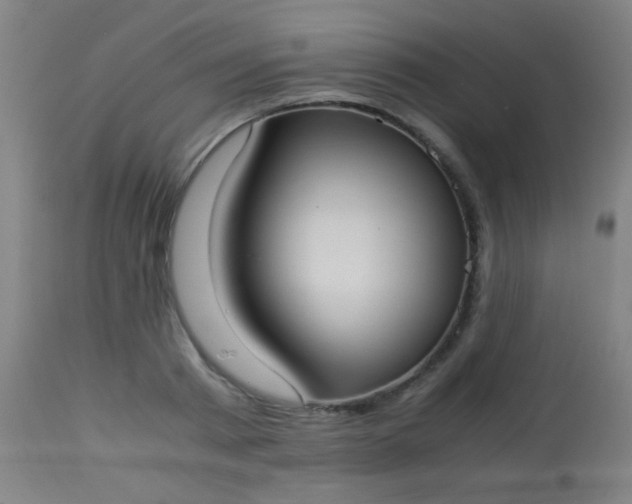 X0000114170793200910221649