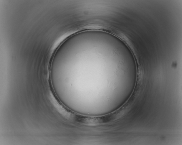 X0000114170795200910221649