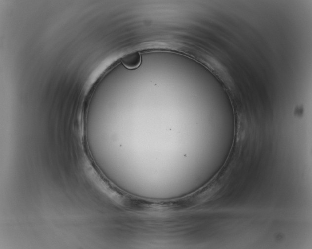 X0000114170796200910221649