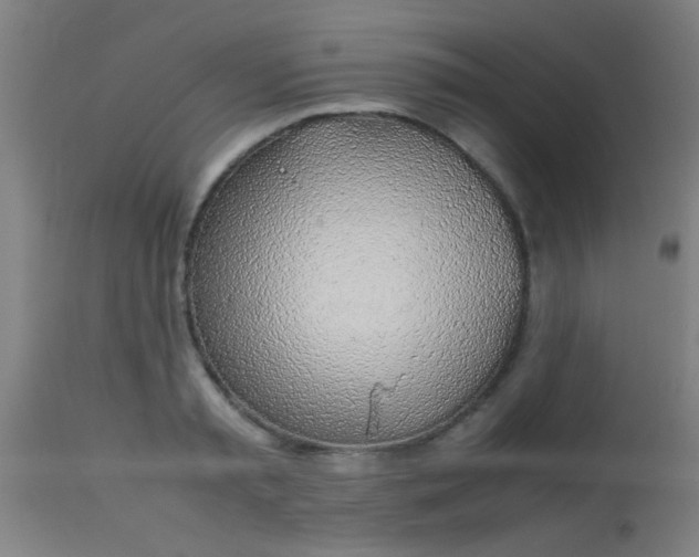 X0000114170797200910221649