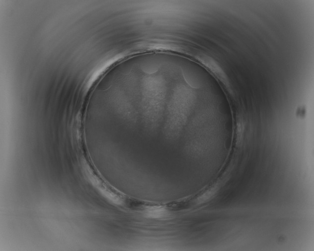 X0000114170798200910221649