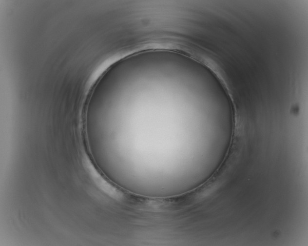 X0000114170803200910221649