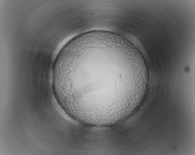 X0000114170804200910221649