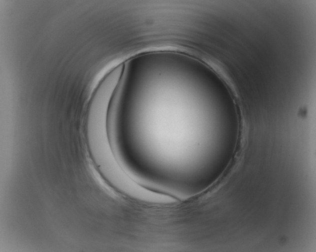 X0000114170805200910221649