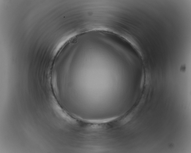 X0000114170806200910221649