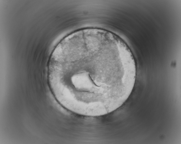 X0000114170807200910221649