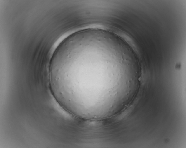 X0000114170808200910221649