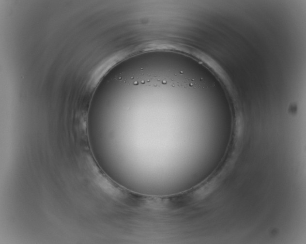 X0000114170809200910221649