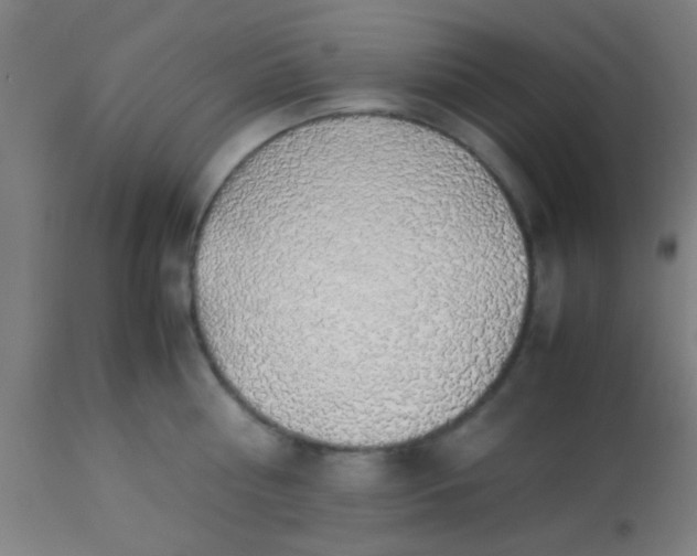 X0000114170810200910221649