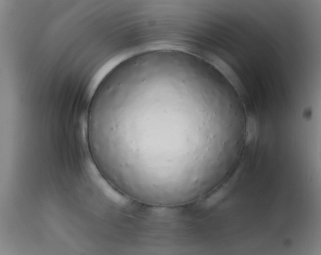 X0000114170812200910221649