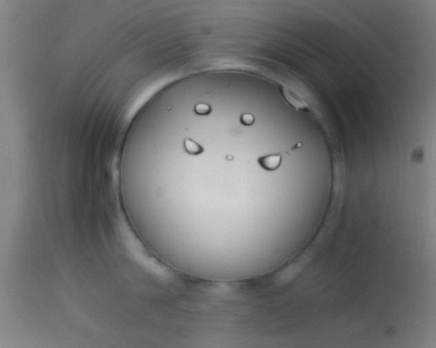 X0000114170814200910221649