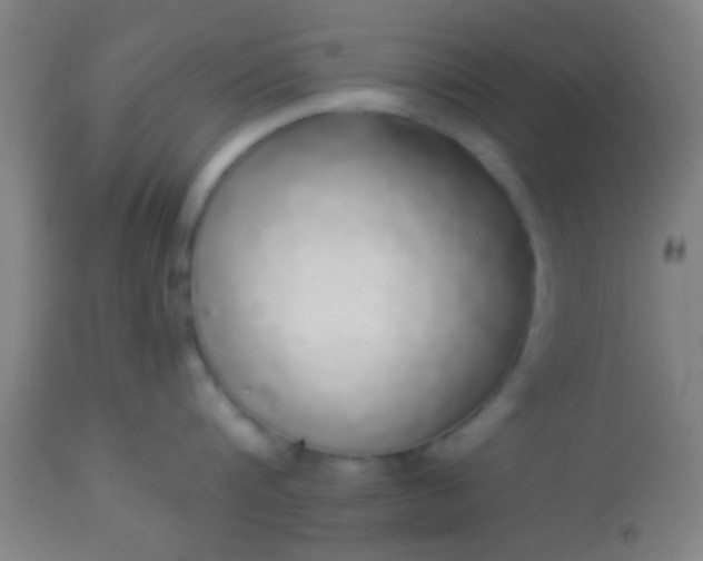 X0000114170816200910221649