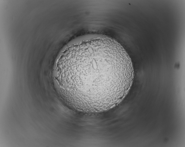 X0000114170817200910221648