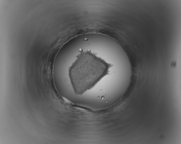 X0000114170818200910221648