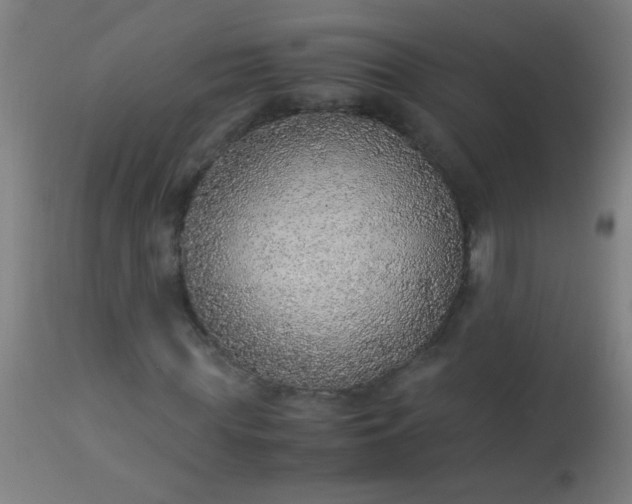 X0000114170819200910221648