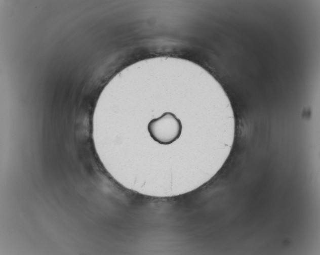 X0000114170820200910221648