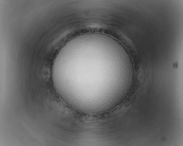 X0000114170821200910221648