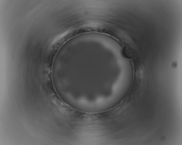 X0000114170822200910221648