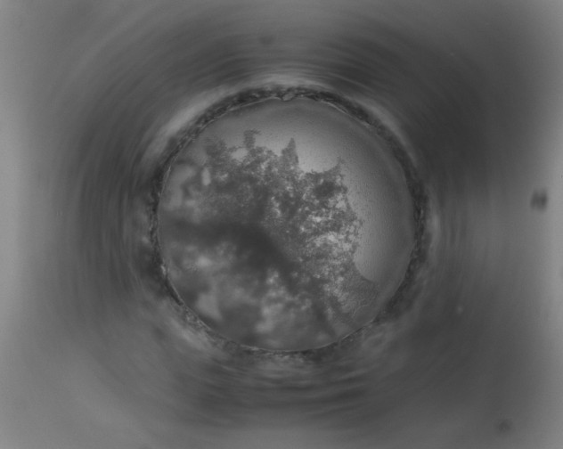 X0000114170823200910221648