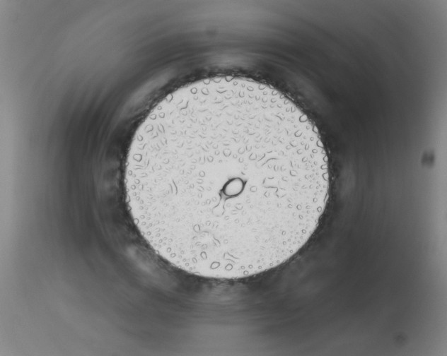 X0000114170824200910221648