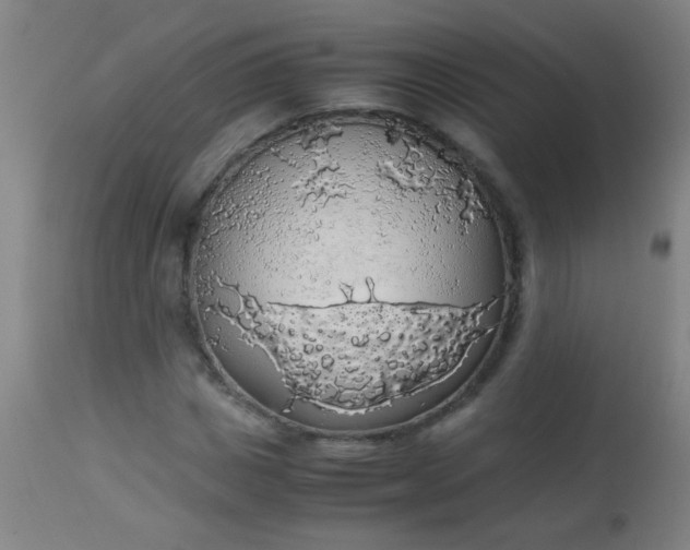 X0000114170825200910221648