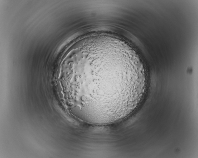 X0000114170826200910221648