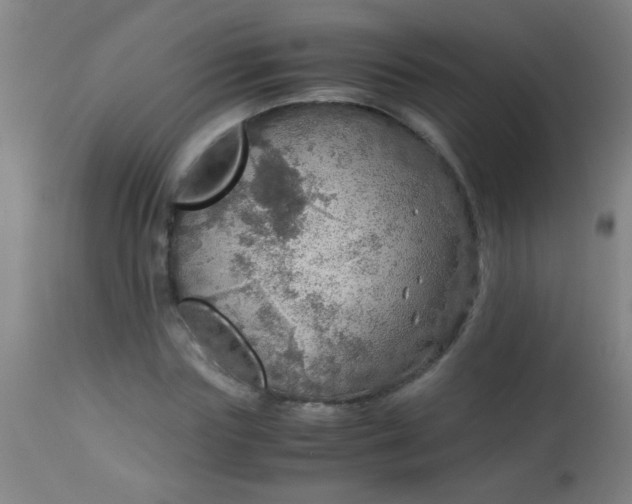 X0000114170827200910221648