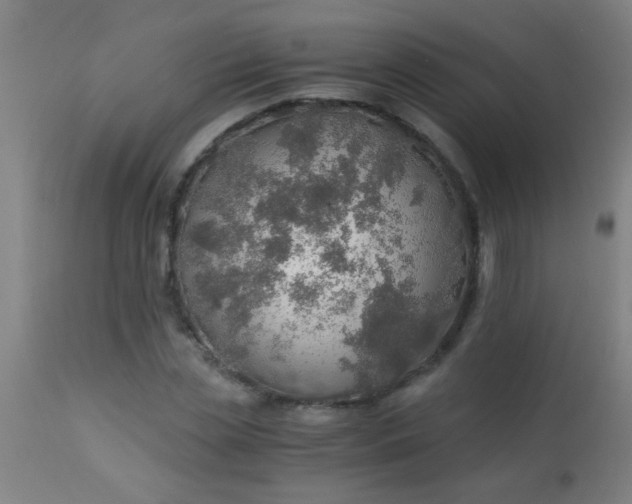 X0000114170829200910221648