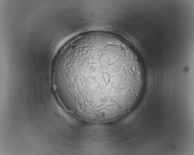 X0000114170830200910221648