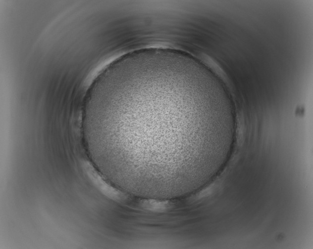 X0000114170831200910221648